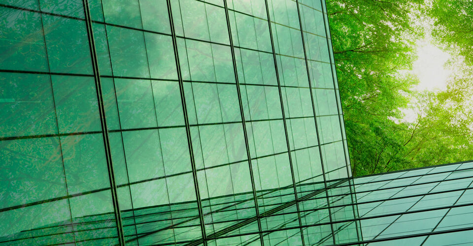 glass window panes green tree tops sunlight