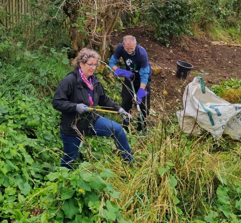 Team Apogee clearing weeds at Green Synergy