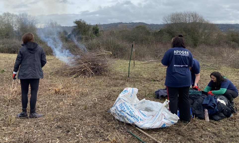 apogee volunteers using bonfire for overgrowth