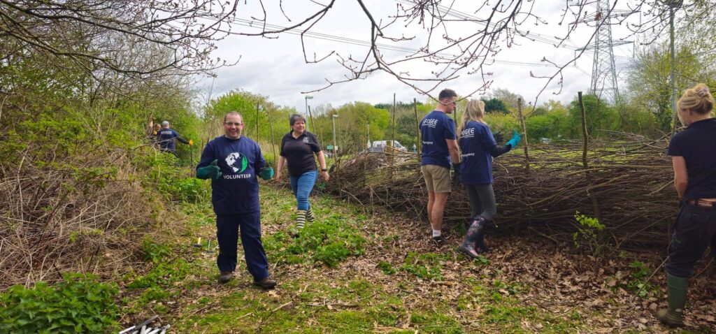 apogee volunteer team working on dead hedge fence