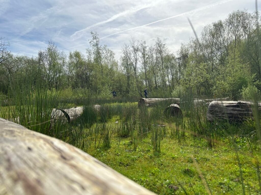scenic nature park in Whisby