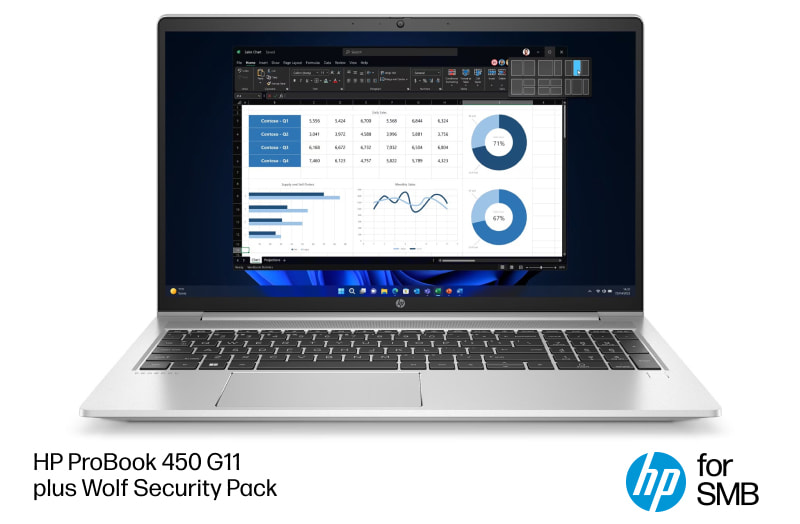 HP ProBook 450 G11 with Wolf Security