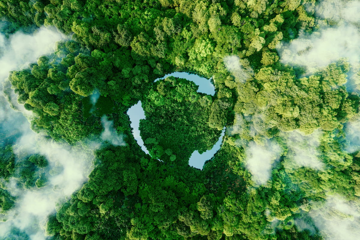 green rainforest with recycle symbol in the trees